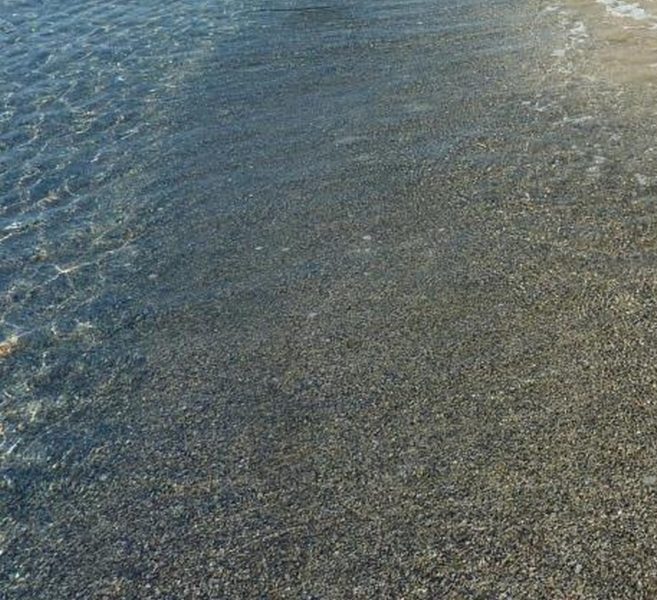 Background Contact Info