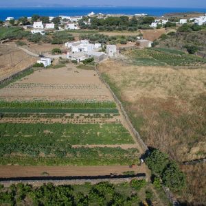 La ferme Narlis à Sifnos vous accueille pour un cours de cuisine traditionnelle