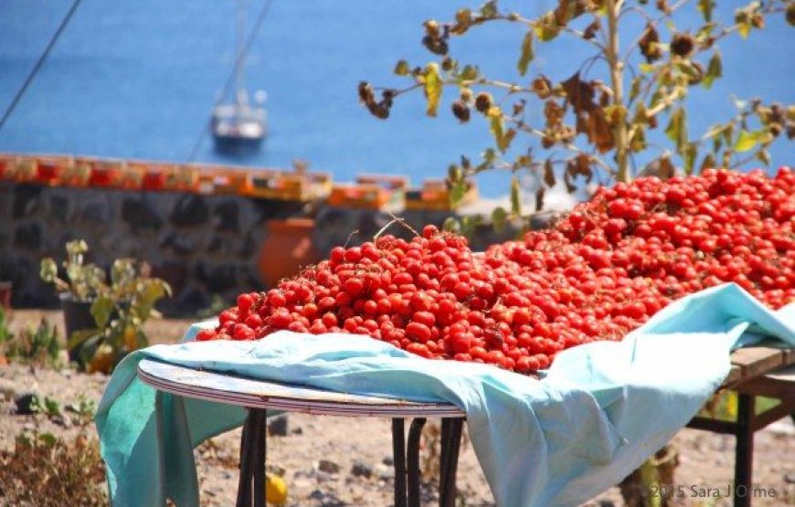 VOYAGE GASTRONOMIQUE – LES SAVEURS DE LA GRÈCE