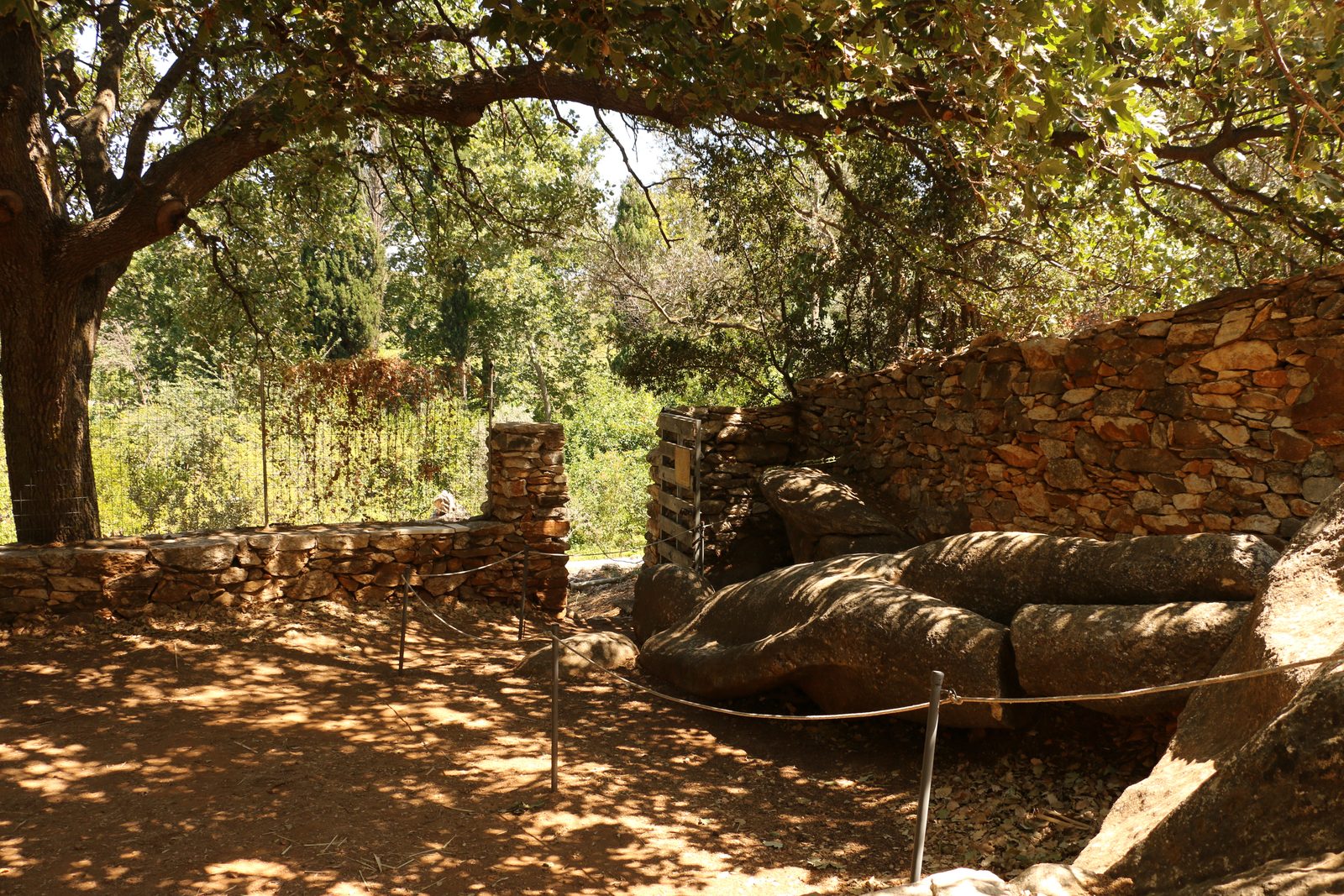 JOUR 8 : Naxos, l'huile d'olive et la Portara